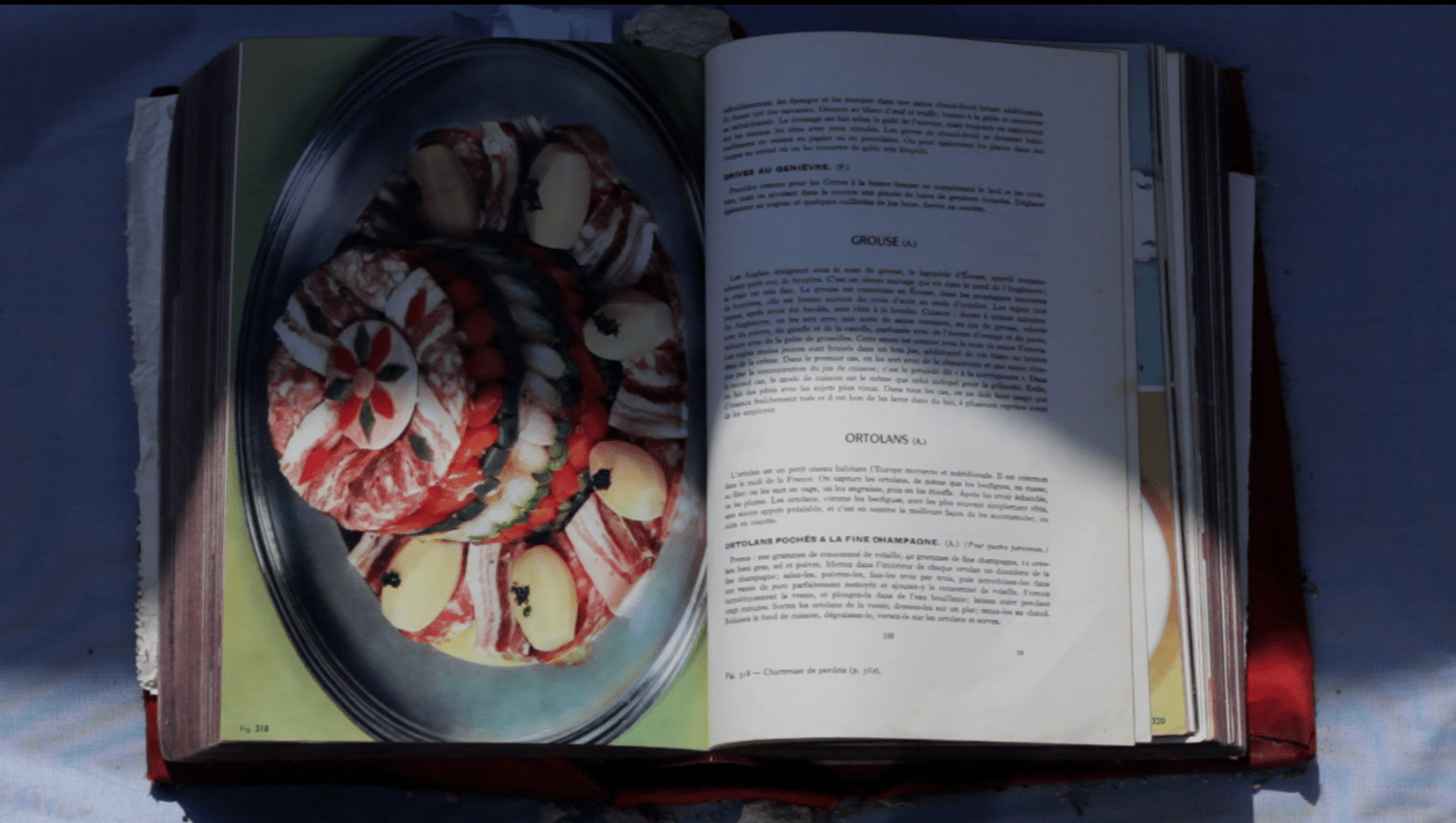 CAPTURES VIDEOS - charlotte el moussaed