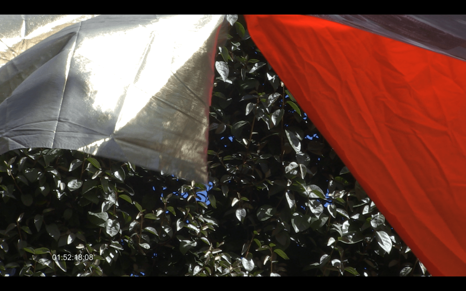 CAPTURES VIDEOS - charlotte el moussaed