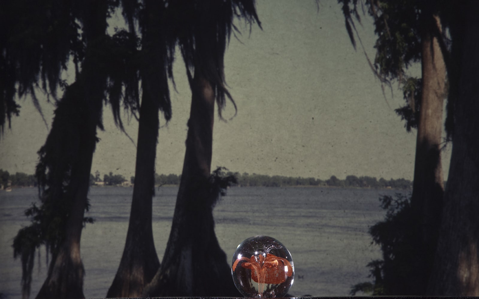 LES HORIZONTAUX - charlotte el moussaed