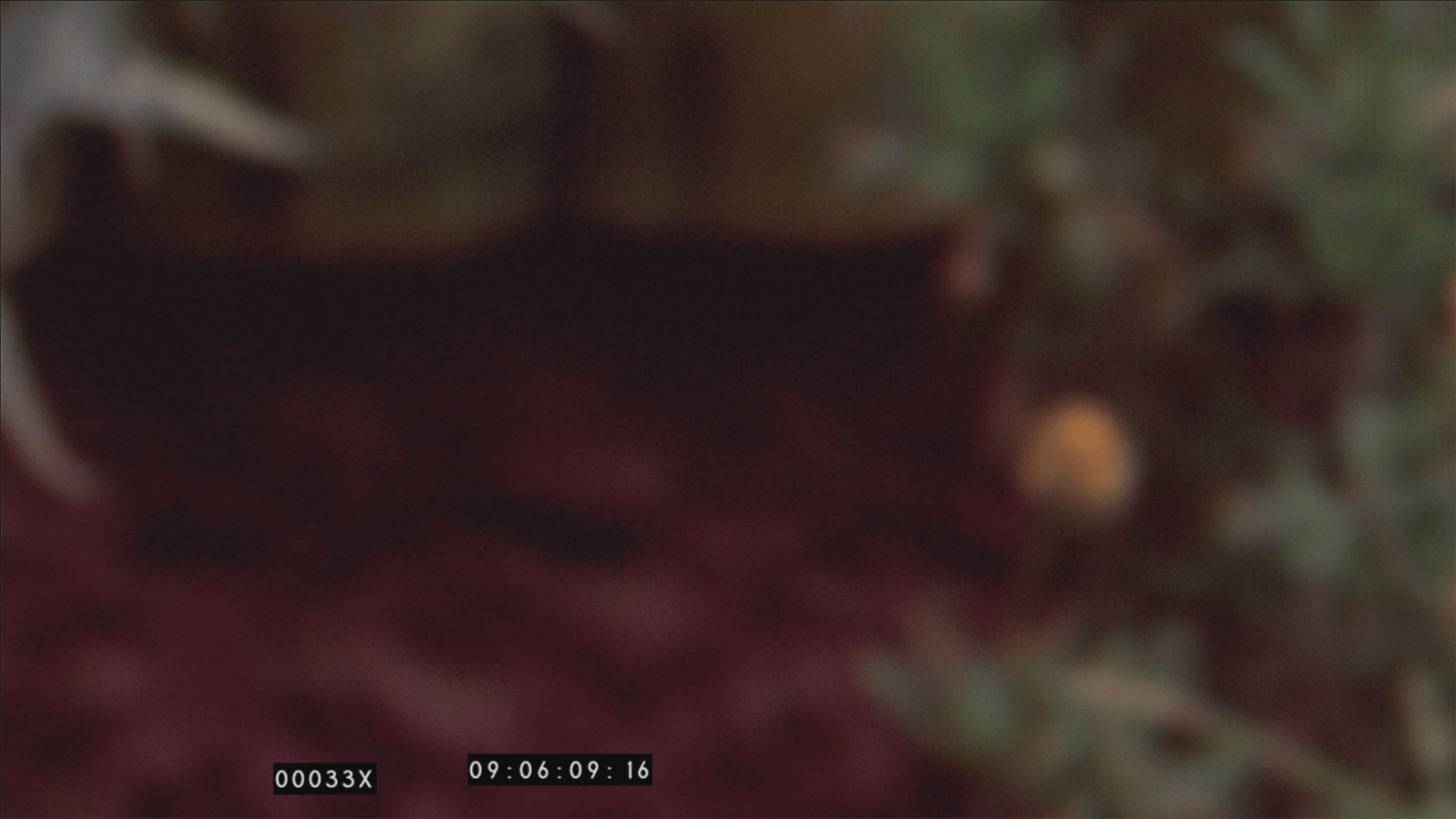 CAPTURES VIDEOS - charlotte el moussaed