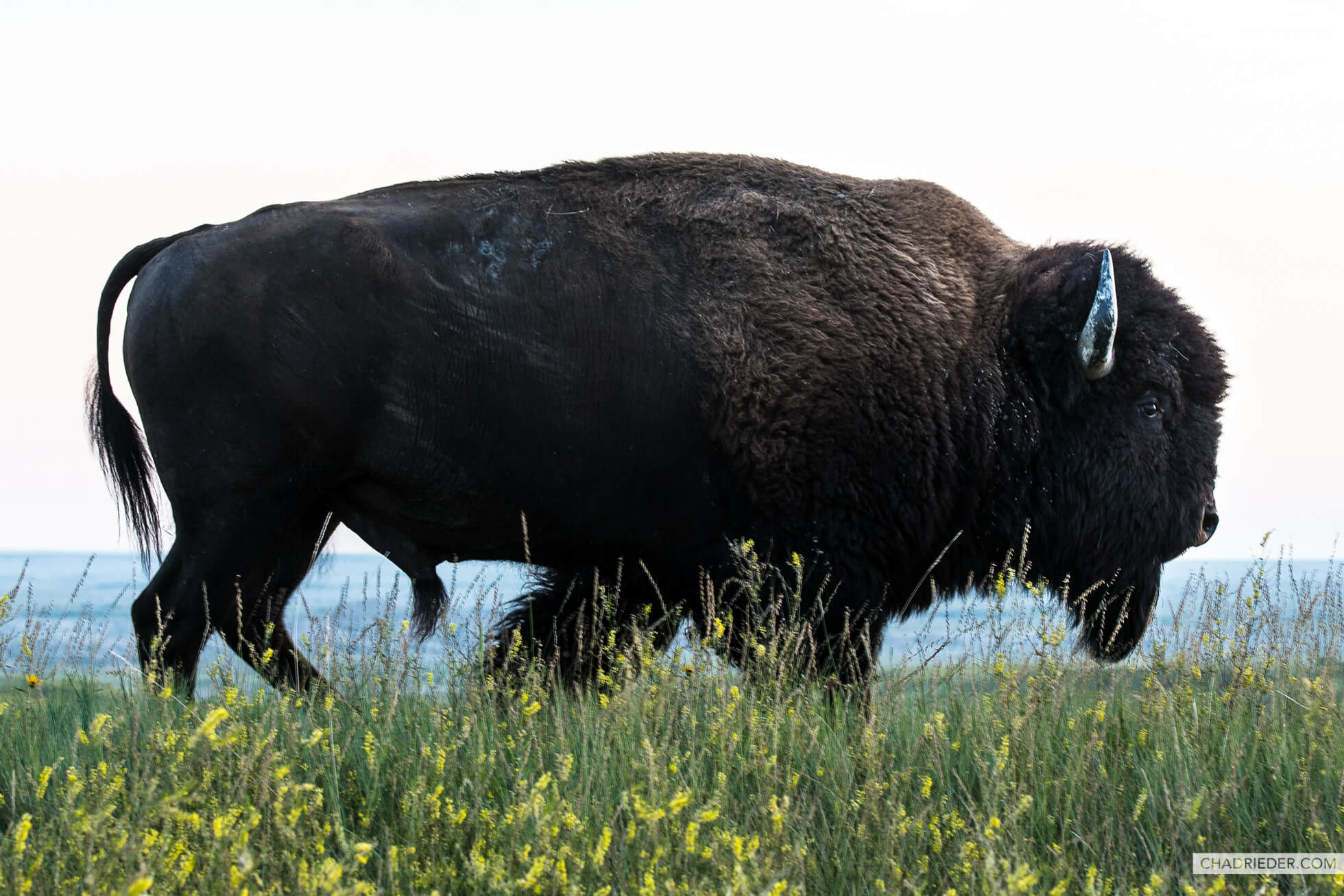 Peaks and valleys of Colorado and the Badlands Perspective