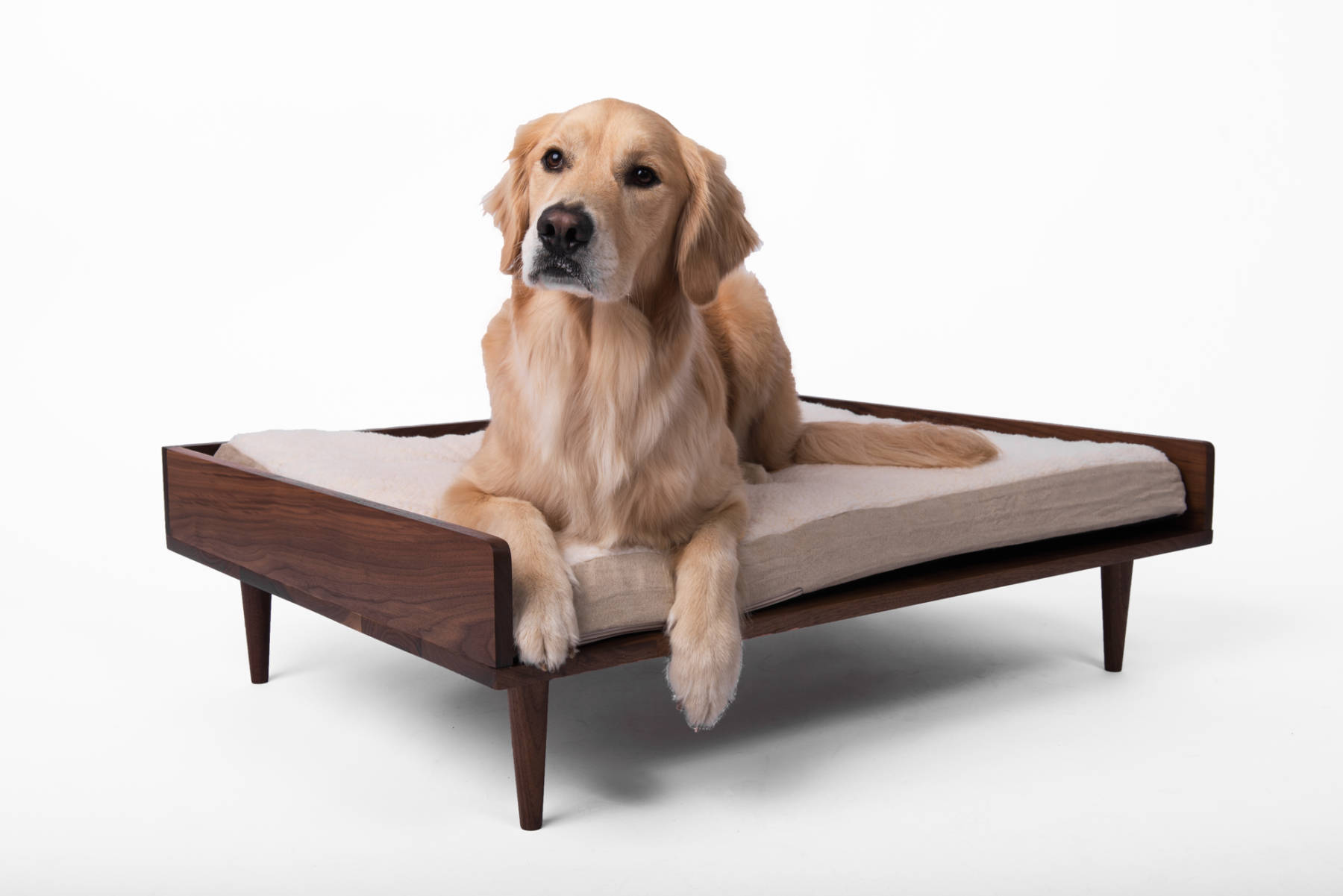 Nord Lion modern dog bed