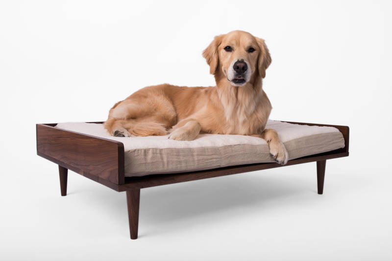 Nord Lion modern dog bed