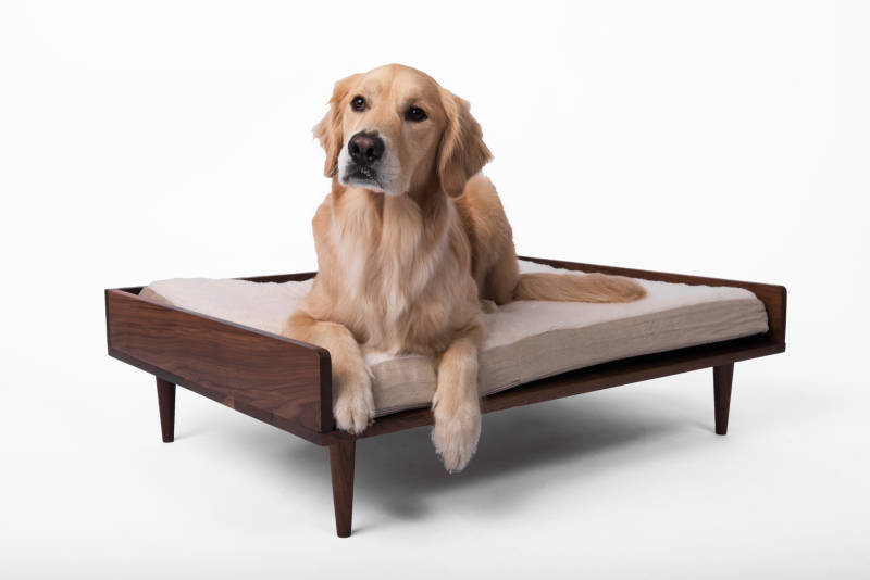 Nord Lion modern dog bed