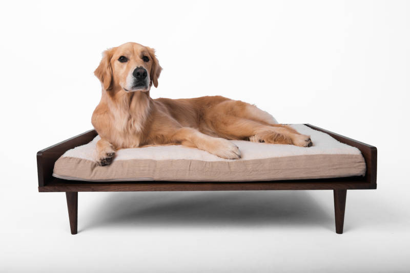 Nord Lion modern dog bed