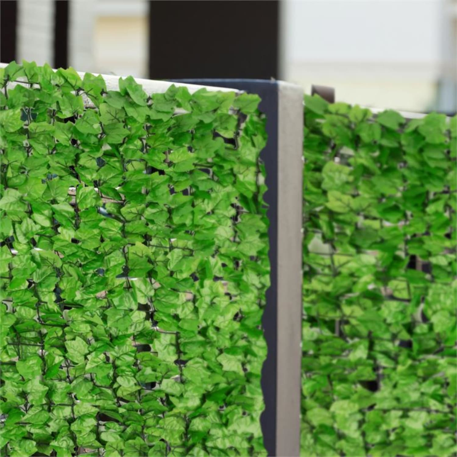 Fency Dark Ivy Recinto Privacy Antivento 300x150 cm Edera Verde Chiaro 150 cm/edera | Verde
