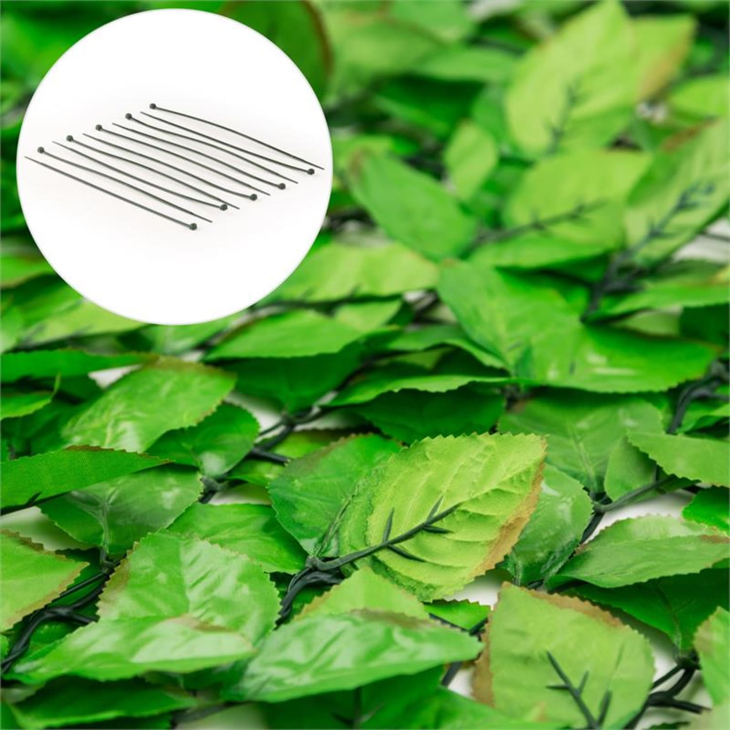 Fency Bright Leaf Sichtschutzzaun Windschutz 300x150 cm Buche hellgrün 150 cm / Buche | Grün
