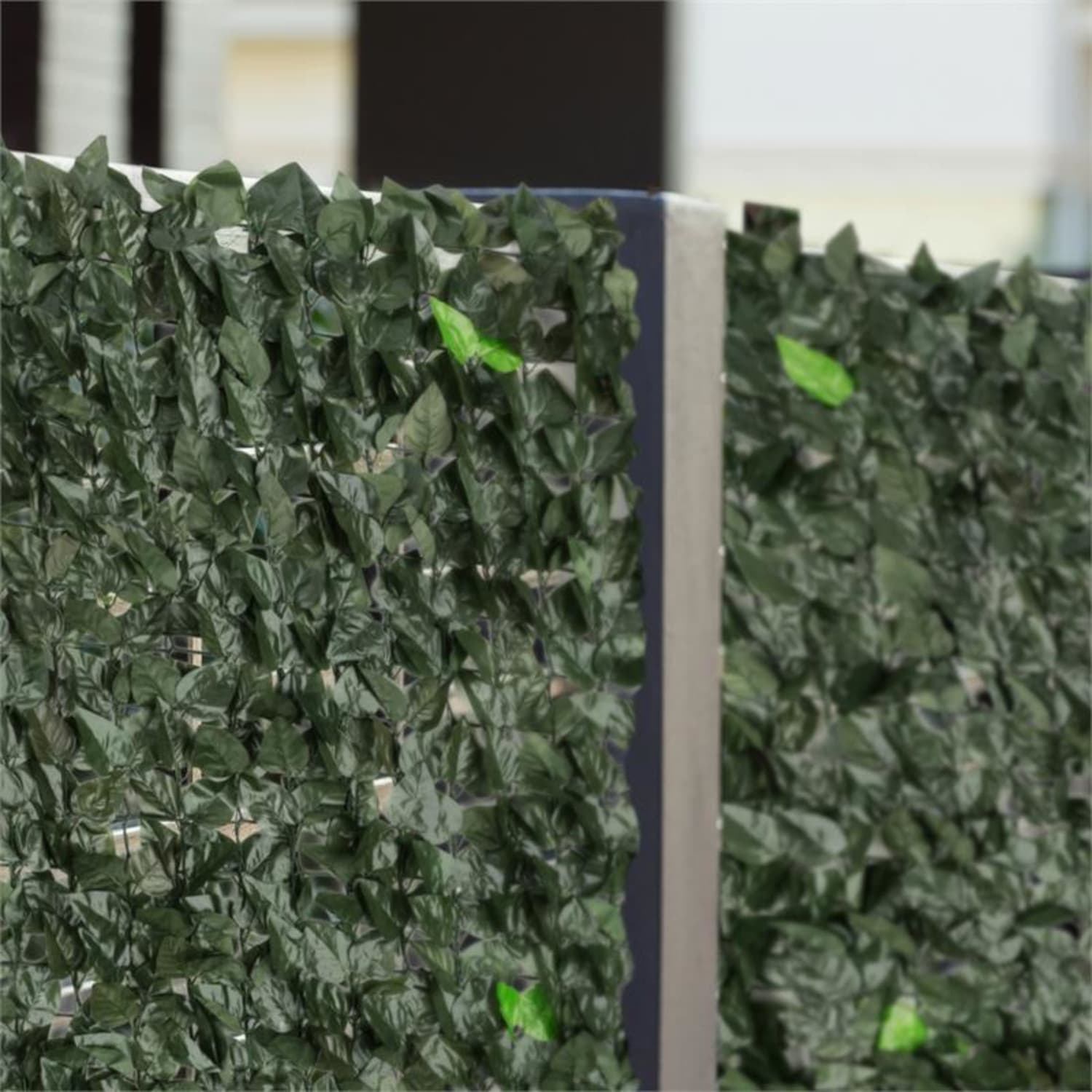 Fency Dark Leaf Sichtschutzzaun Windschutz 300x150 cm dunkelgrün Mix 150 cm / Buche | Waldgrün