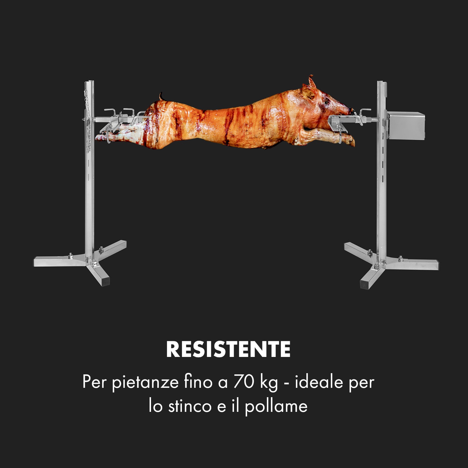 Sauenland Survivor, griglia da porchetta con spiedo, 12W, 70kg max., acciaio inox 