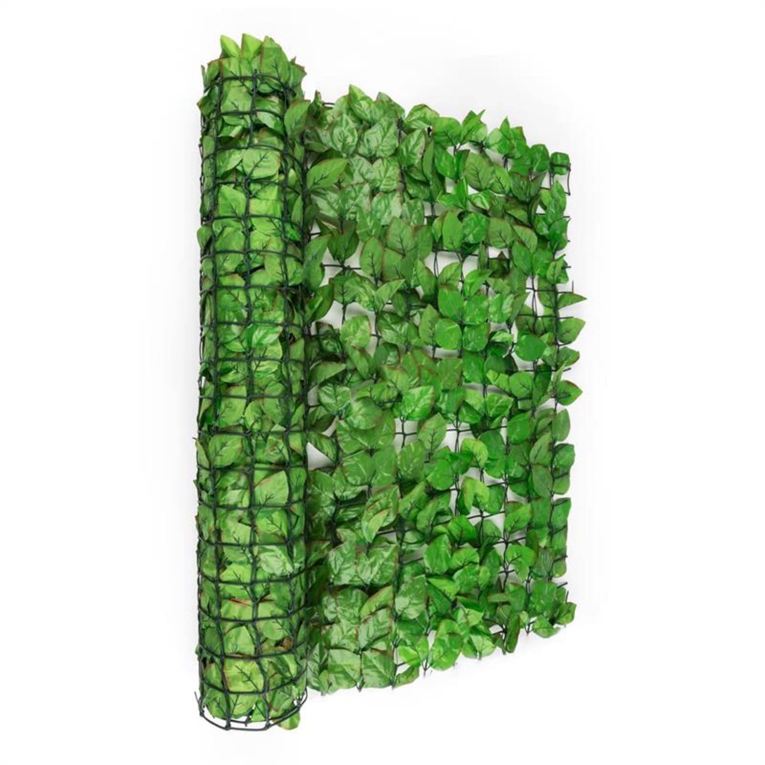 Fency Bright Leaf Sichtschutzzaun Windschutz 300x150 cm Buche hellgrün