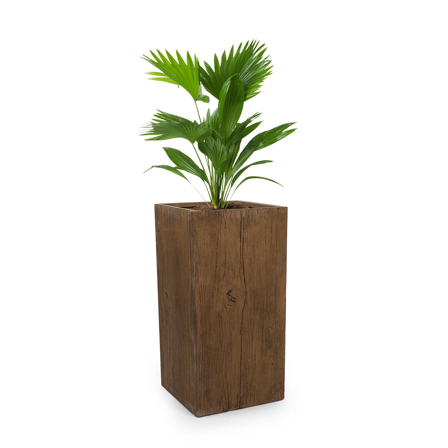 Timberflor Pflanztopf 40 x 80 x 40 cm Fiberglas In-/Outdoor braun