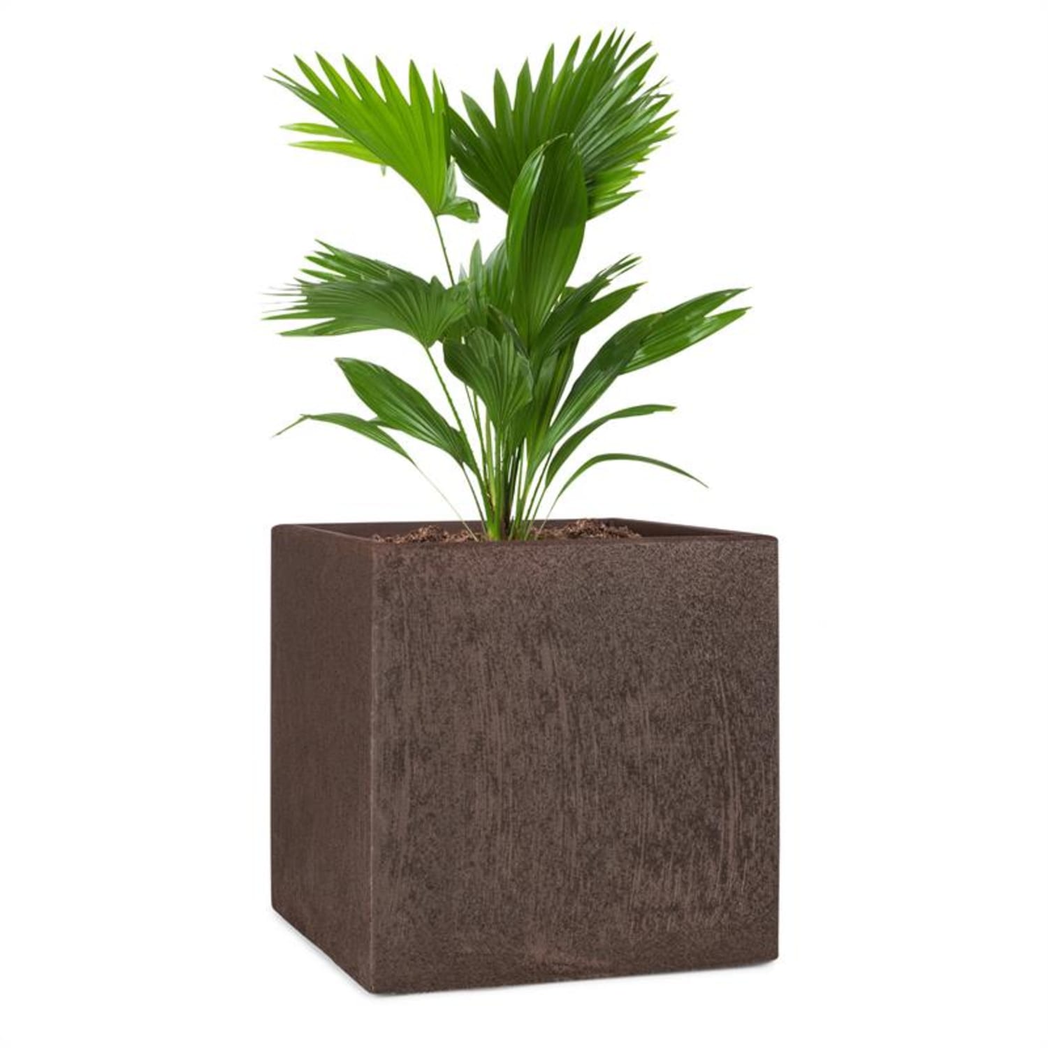 Solid Grow Rust, cvjetnjak, 40 x 41 x 40 cm, vlaknasta boja, hrđava