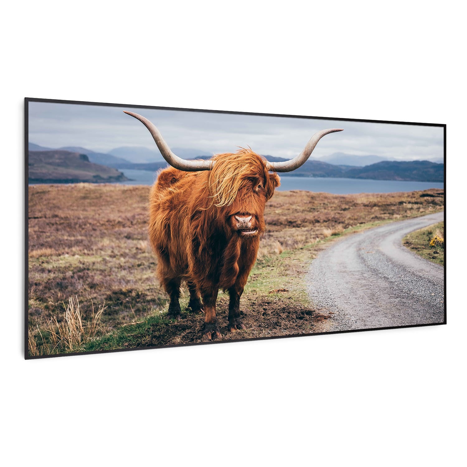 Radiateur infrarouge intelligent Wonderwall Air Art vache 120x60 cm 700 W