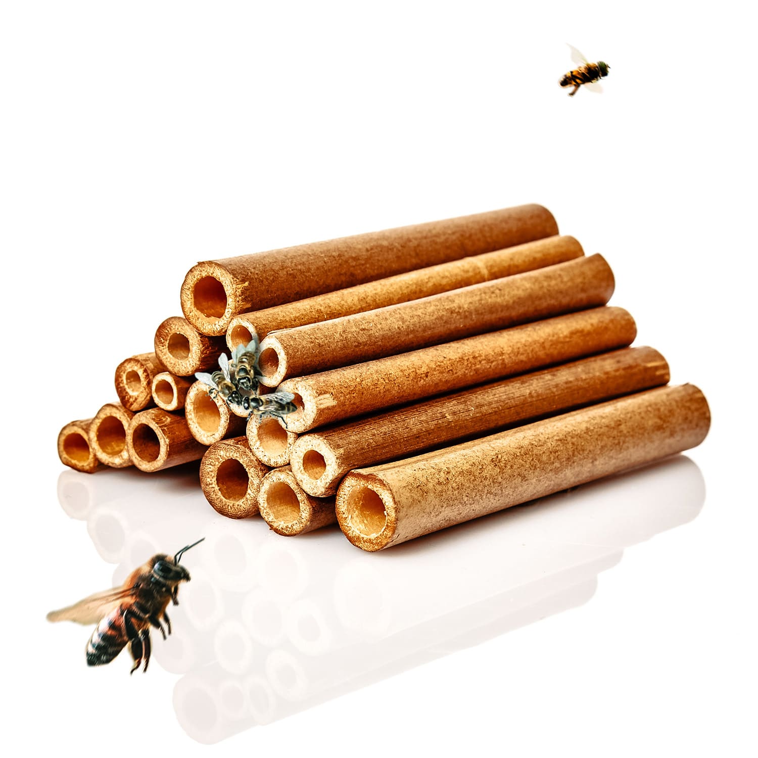 Bambusové rúrky, 70 kusov, každá s dĺžkou 10 cm, farba dreva