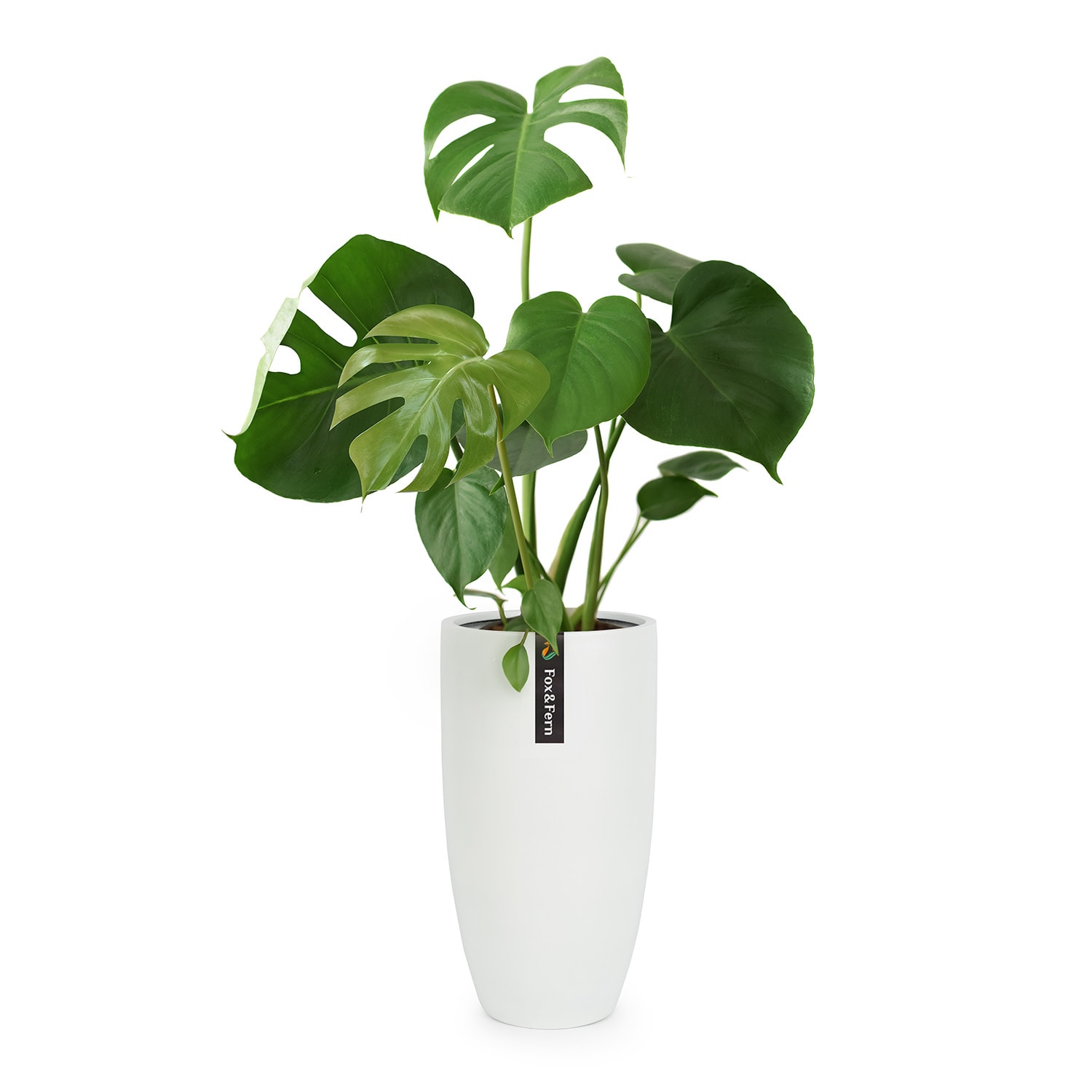 Almere ghiveci Fibre Stone ideal pentru plante, lucrat manual, conic