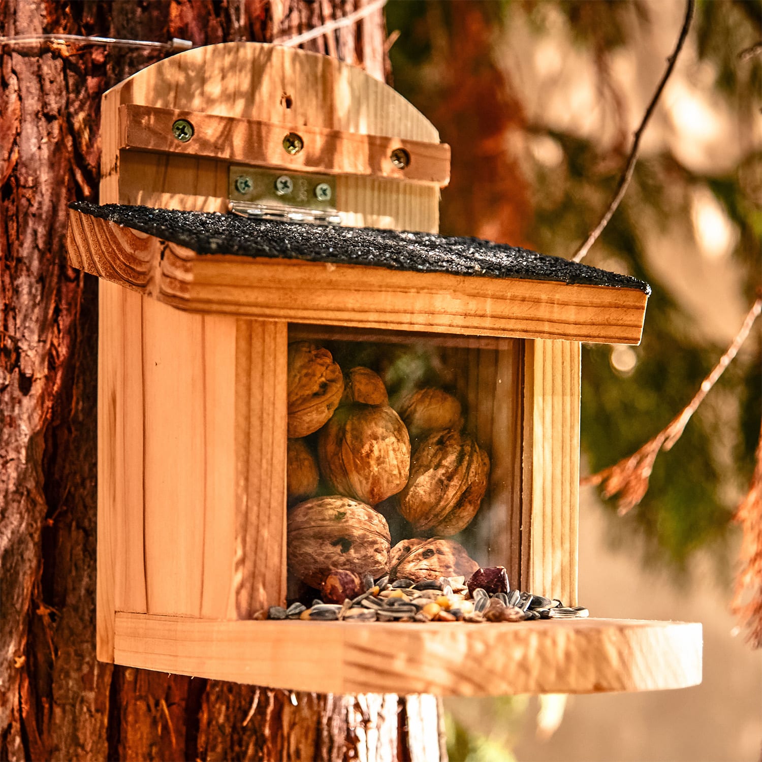 Comedero para ardillas techo plano madera de cedro betún sin tratar