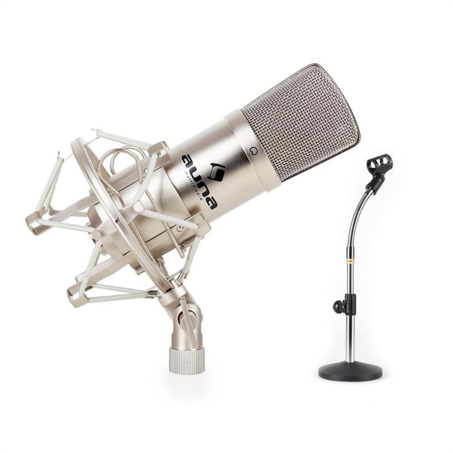 Studio Microphone Set w/ XLR Condenser Mic Silver & Mic Table