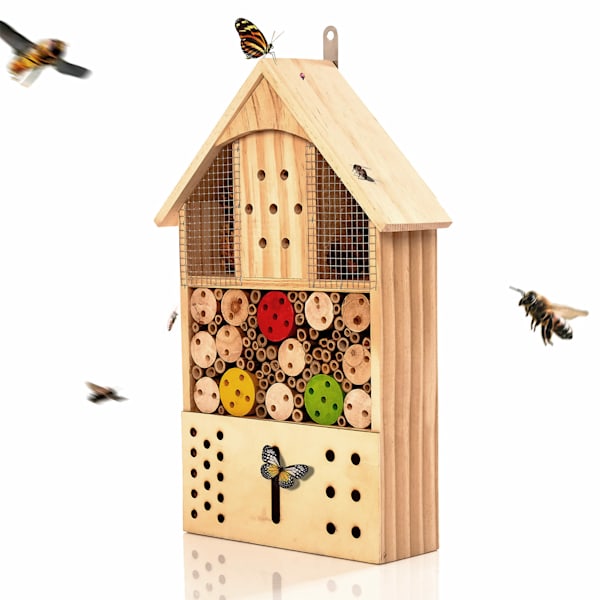 Mangeoire pour oiseaux en bois naturel non traité Cordon de suspension Prêt  à l'emploi - Cages et Accessoires oiseaux - Achat & prix