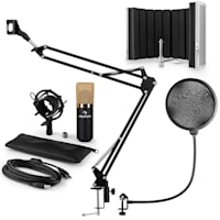 MIC-900BG-V5, auriu, set de microfon, microfon cu condensator, filtru pop, panou de absorbție, braț