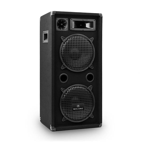 Boxă PW-10x22 PA cu 2 x 25 cm subwoofer 900W