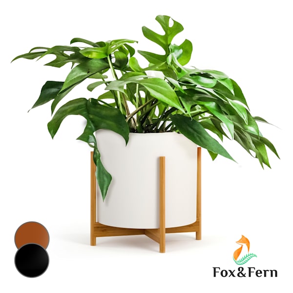 Zeist Portavaso - 52038451