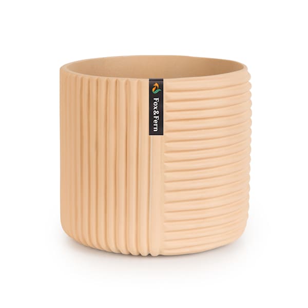 Hasselt Blumentopf  - 10038548