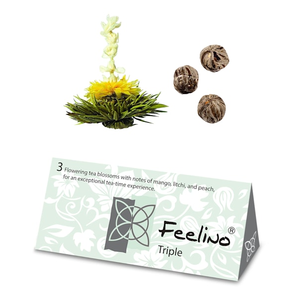 Cvjetovi čaja 6 različitih sorti - 10040408