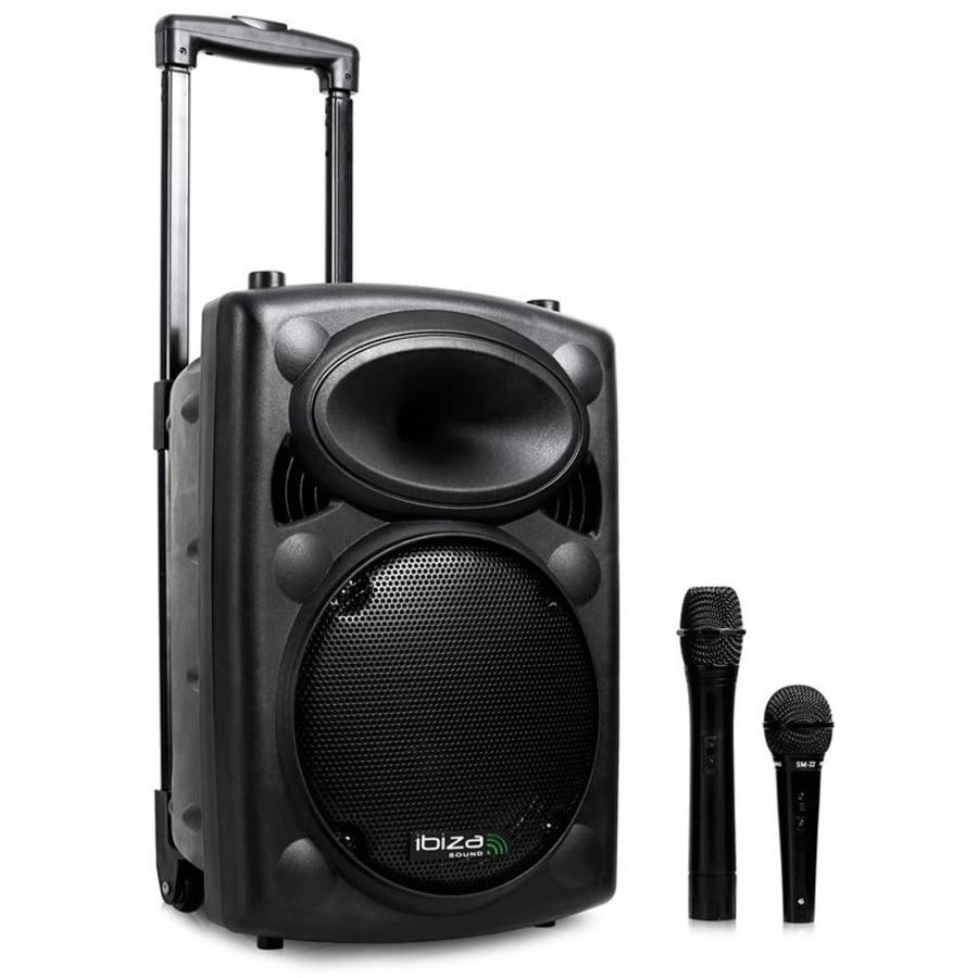 What's inside biggest Bluetooth Speaker ? Ibiza Sound Port series 