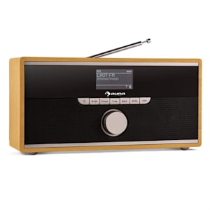 Weimar DAB-Radio Internet-Radio Bluetooth DAB+ UKW Wecker portabel