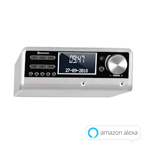 Intelligence DAB+ Radio de cocina Control de voz Alexa Spotify BT Plateado