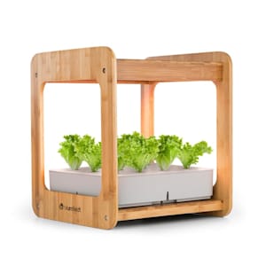 Urban Bamboo Jardin intérieur 12 plantes 24W LED 7 litres bambou