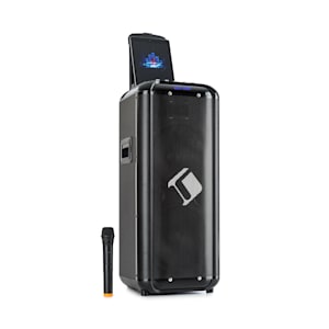 Moving 2100 Impianto PA 2xWoofer 10" 100/300 W Microfono UHF USB SD BT AUX Mobile