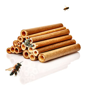 Bamboo tubes 70 pieces, each 15 cm long, wood-coloured