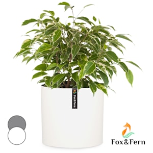 Pot de fleurs Venlo polystone intérieur et extérieur 3 tailles