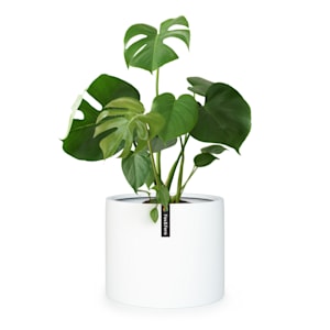 Planter Cachepot Fibre Stone In/Outdoor