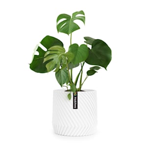 Maceta hecha a mano de polystone apto para plantas