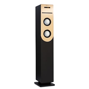 Berklee Enceinte tour 2 x 10 W RMS Radio FM Lecteur CD Bluetootht Port USB et SD/MMC