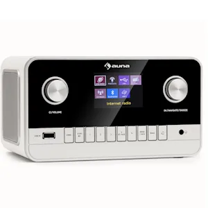 Connect 100 MKII Internetradio | Mediaplayer | Bluetooth | DAB/DAB+| App-Control | 2,8