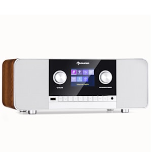 Connect 120 MKII Internetradio Bluetooth WLAN DAB/DAB+ USB AUX