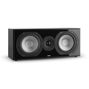 Reference 803Enceinte centrale 2 voies D’Appolito protection noir/argent
