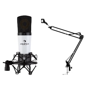MIC-920 Set Microfono USB V3 Microfono a Condensatore Braccio Borsa