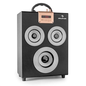 Central Park 2.1 Bluetooth-Lautsprecher USB SD mobil