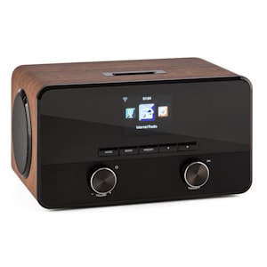 Connect 100 Web Radio Mediaplayer Bluetooth WLAN USB AUX Line Out
