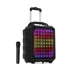 Moving 80.1 LED PA System 8" Woofer 100 W Max. UHF Mic USB SD BT AUX Mobile