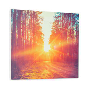 Wonderwall Air Art Infinite 300 Infrarotheizung Bild 60x50cm 300W Wand Fernbedienung