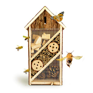 Hôtel à insectes avec toit en pente étroit, habitable toute l'année bois