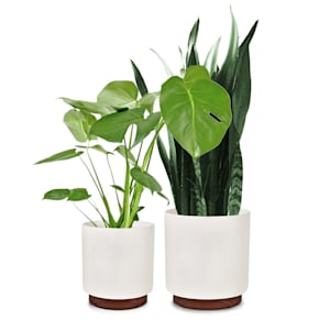 Enspijk pots de fleurs lot de 2 bois de noyer polystone fait à la main 2 tailles