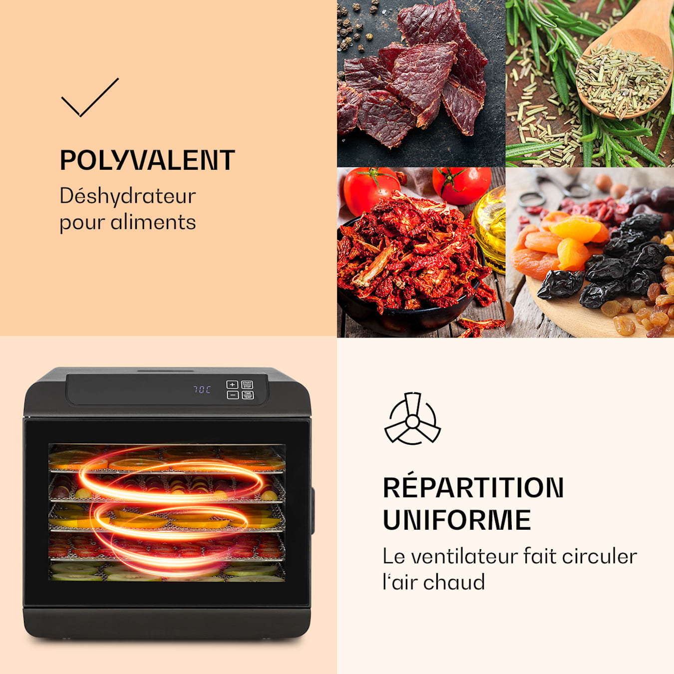 32100c Déshydrateur alimentaire numérique - Réparation chez Robin