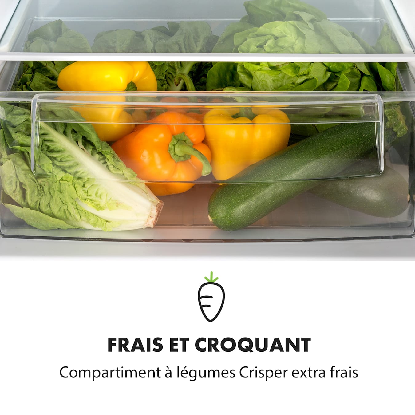 Combiné réfrigérateur-congélateur Miro XL, 249 l, Volume du congélateur  69 l, Volume du réfrigérateur 180 l, 4 clayettes en verre / 4  compartiments de porte / Compartiment à légumes