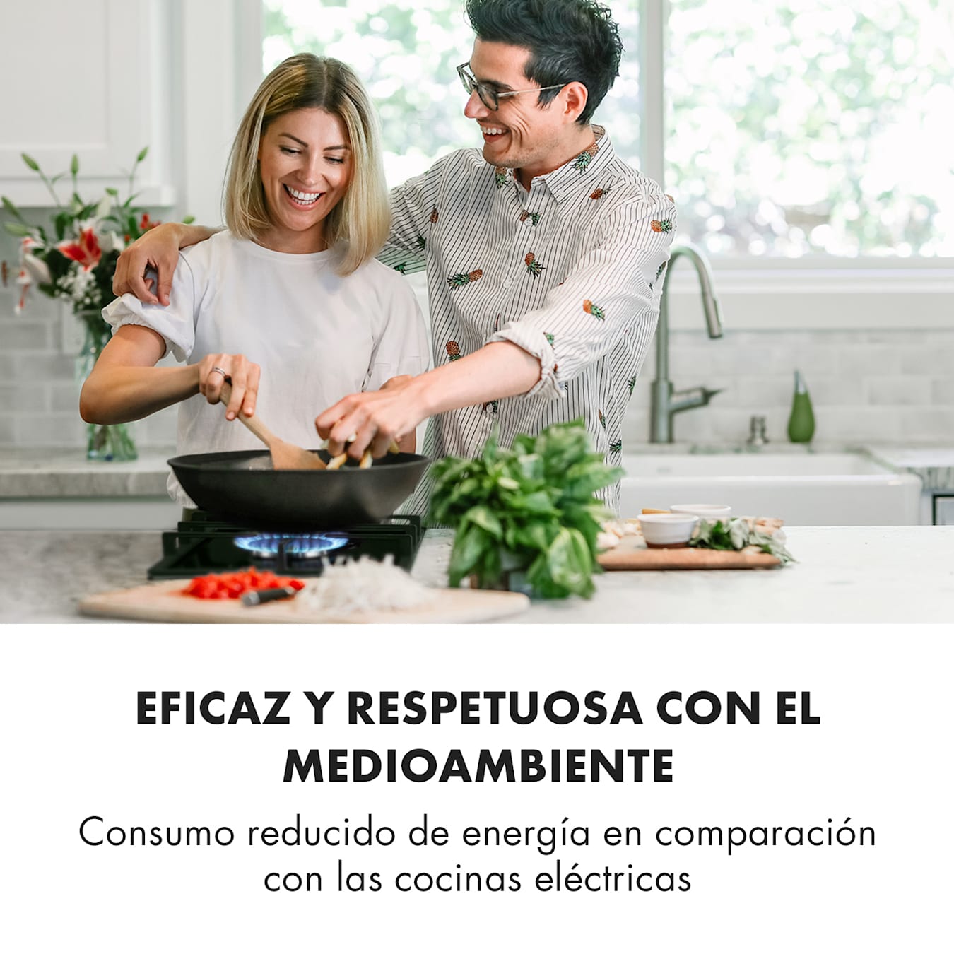 Las mejores ofertas en Cocinas de arroz Prestige